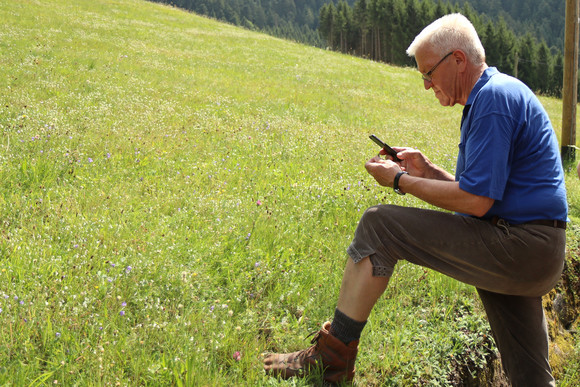 Sommertour Kretschmann wandert mit Bürgerinnen und Bürgern Wanderung von Schramberg nach Schiltach: Ministerpräsident Winfried Kretschmann nutzt mit seinem Smartphone eine App zur Bestimmung von Pflanzen