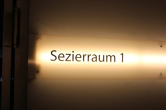 Kunst und Kultur Besuch SOKO Stuttgart Besuch_SOKO_Stuttgart