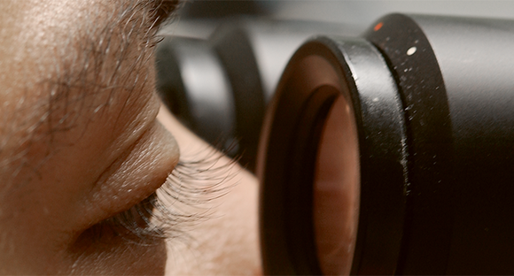 Am Mikroskop, Foto: EMBL/schupp@embl-heidelberg.de