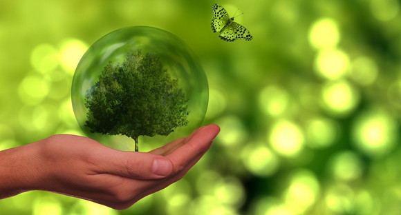 Symbolbild Nachhaltigkeit