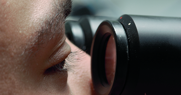 Eye on scope, Foto: EMBL
